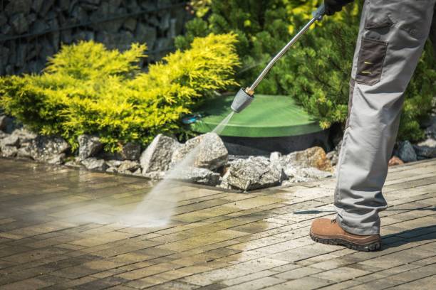 Best Sidewalk and Walkway Cleaning  in Royston, GA