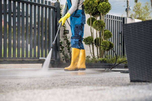 Best Fence Cleaning  in Royston, GA